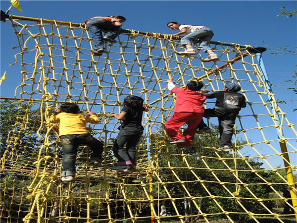 Safari Activity Park